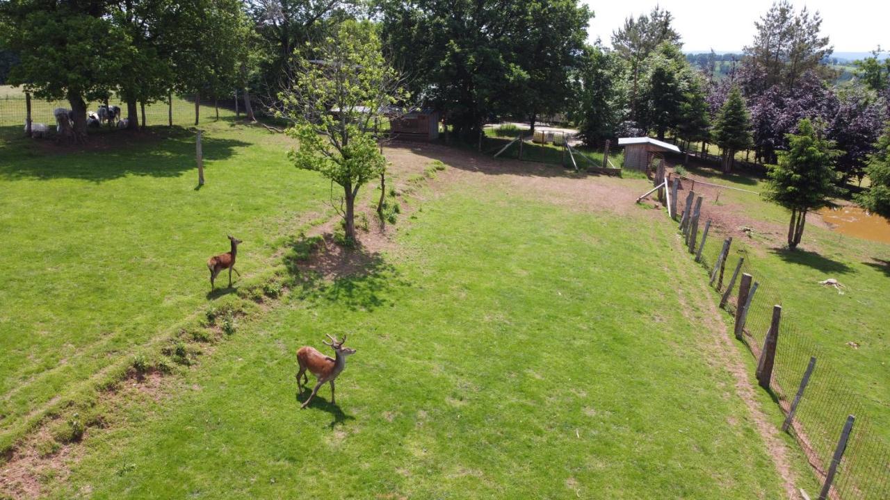 Villa Le Gagnage 31 Pers- Malmedy, Rustique, Vue, Wellness Exterior foto